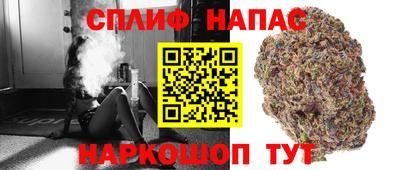 гашик Мариинск